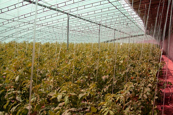 刑事科学技术实验室